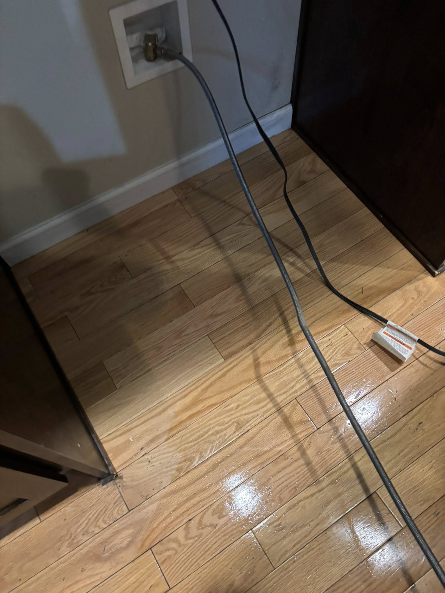 After — Fridge Cleaning