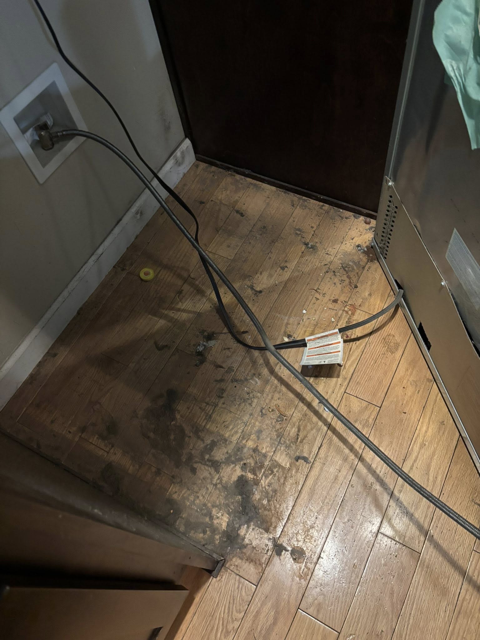 Before — Fridge Cleaning