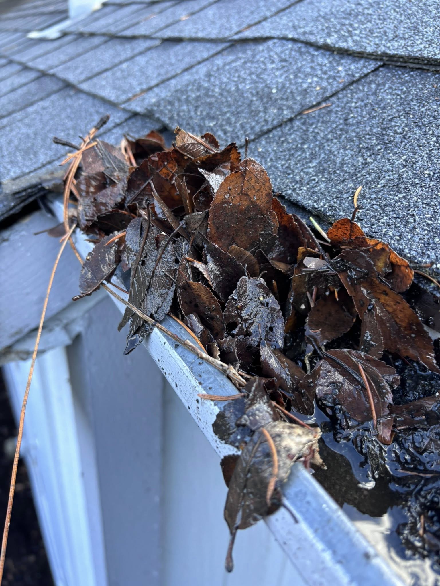 Before — Gutter Cleaning